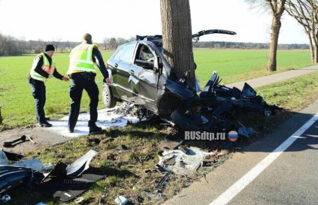 Mercedes уничтожился об дерево. Погиб водитель 