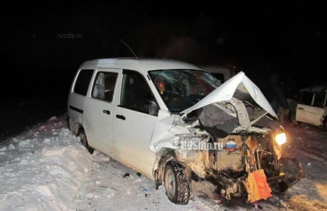Оба водителя и два пассажира погибли в результате ДТП в Омской области 