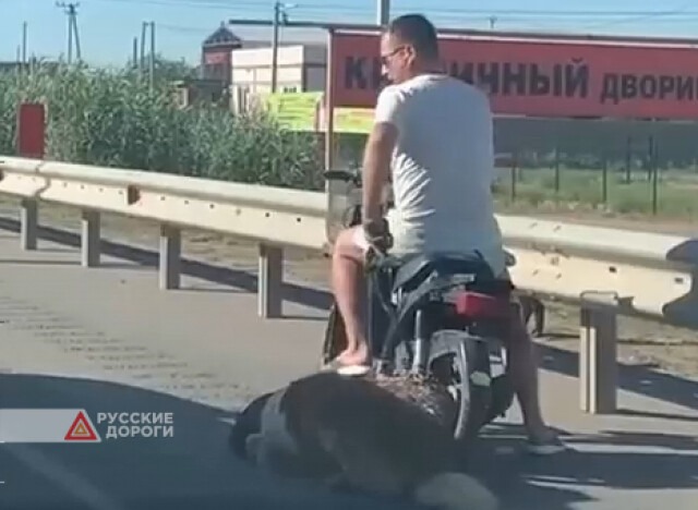 В Астрахани мужчина на мопеде тащил за собой собаку
