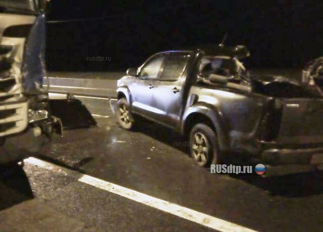 В Тверской области Toyota Hilux наехал на труп лося и врезался в фуру 