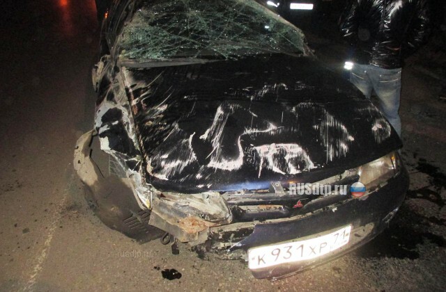 В Кимовске пьяный водитель насмерть сбил двух человек 