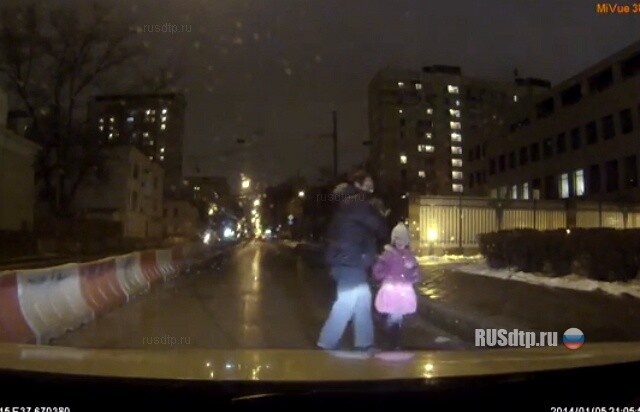 Сбил собаку 