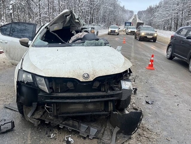 Трое сотрудников правительства Нижегородской области разбились в ДТП под Арзамасом 