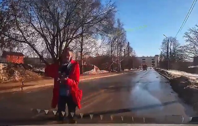 В Чебоксарах неадекватная женщина разбивала зеркала проезжавших машин