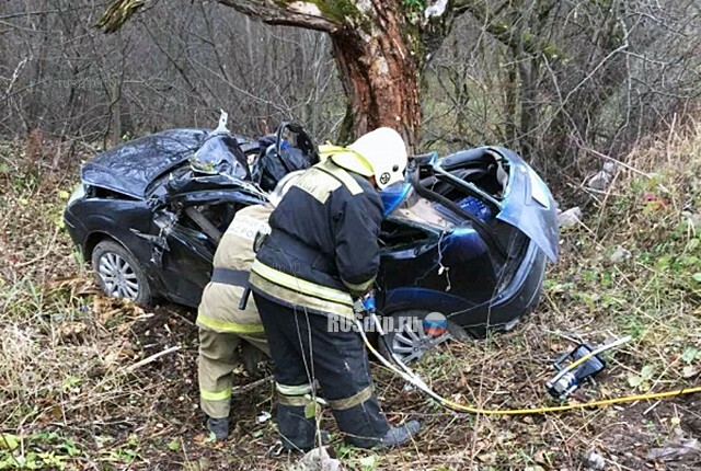 Мальчик лишился родителей в ДТП в Тульской области 