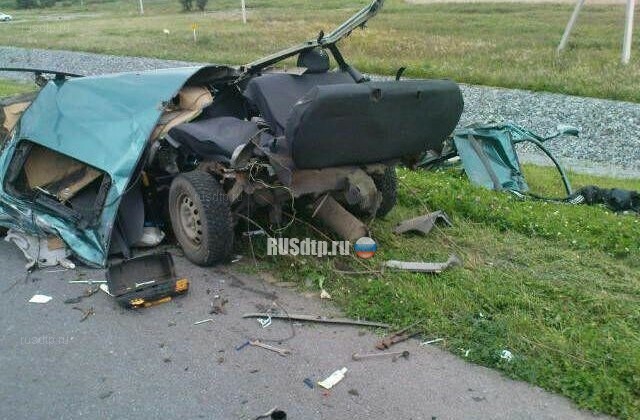 7 человек погибли в ДТП с участием микроавтобуса и грузовика в Ленинградской области 