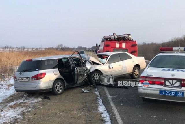 Четыре человека погибли по вине уснувшего за рулем водителя в Приморье 