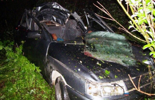 ВАЗ-2112 сбил лося в Вологодской области 