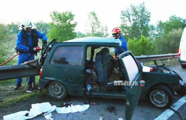 Водитель и пассажир «Оки» погибли в ДТП под Самарой 