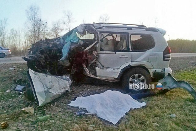 Четыре человека погибли в ДТП на трассе Чита-Хабаровск в ЕАО 
