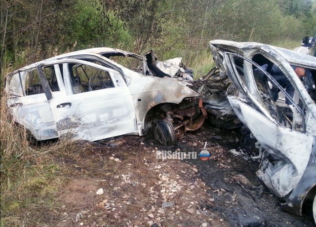 В Удомельском районе в огненном ДТП погибли два человека 