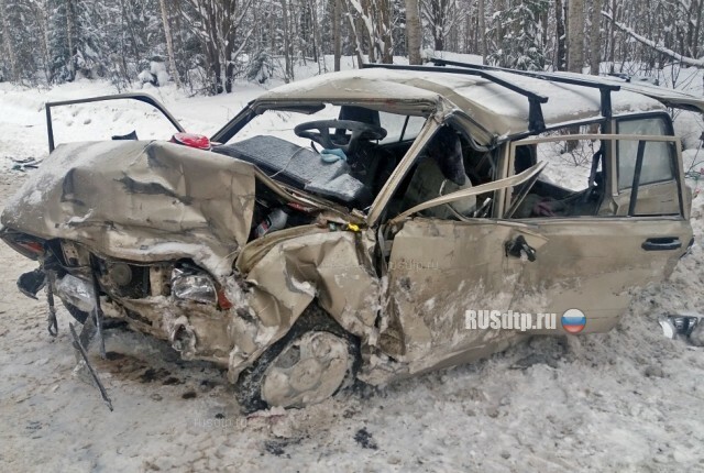 Мужчина и две его дочери погибли в ДТП в Кировской области 