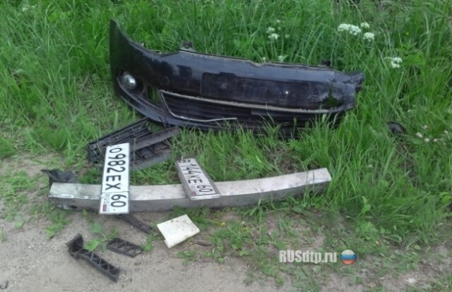 В Великолукском районе погибли два человека 