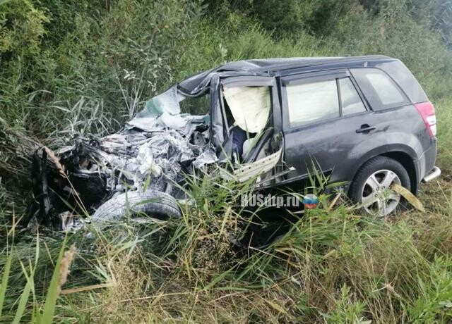 Водитель автомобиля Suzuki погиб, совершив опасный обгон 