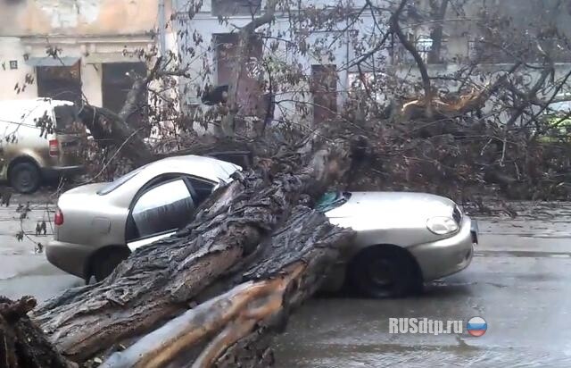 Дepeвo yпaлo нa мaшинy c людьми 