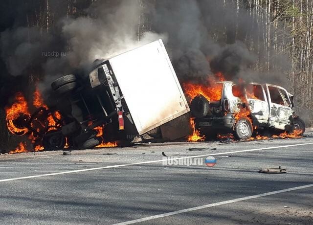 Мать троих детей погибла в ДТП под Нижним Новгородом 