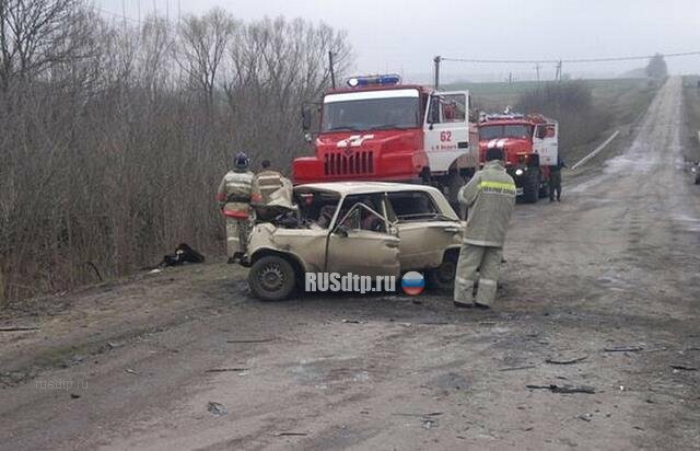 Девочки-близнецы попали в ДТП под Воронежем. Одна из них погибла 