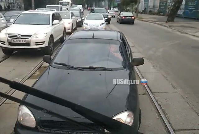 Быдло на дороге в Киеве