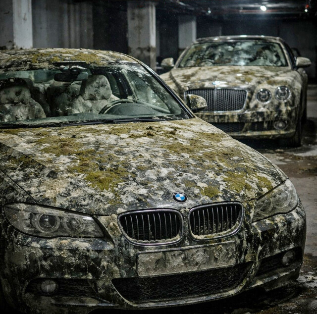 Элитные авто покрылись плесенью и грибком на подземной парковке в Петербурге 