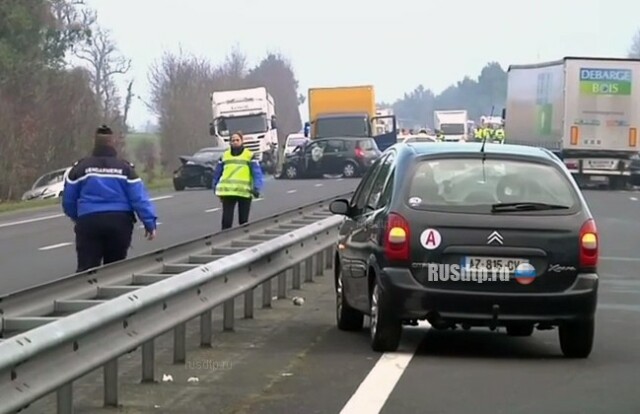 ВИДЕО: в ДТП с участием 50 автомобилей во Франции погибли 5 человек 