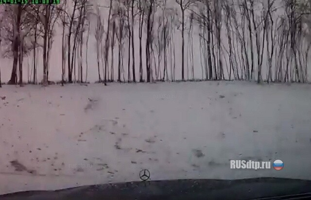 Опередила… 