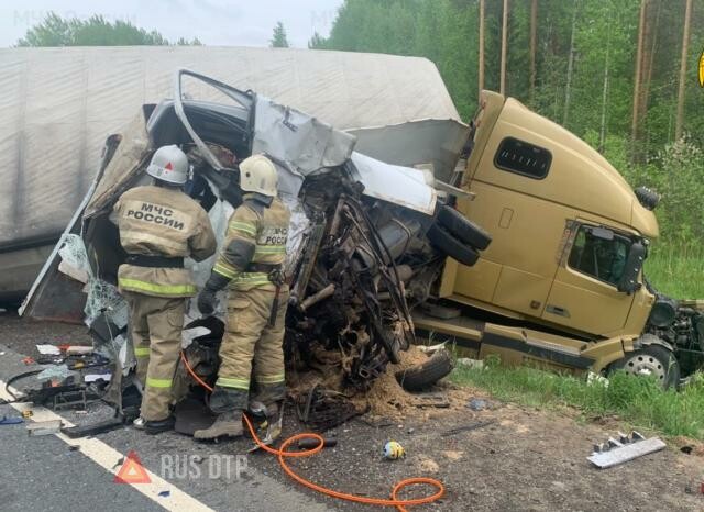 Водитель «ГАЗели» погиб в ДТП в Костромской области 