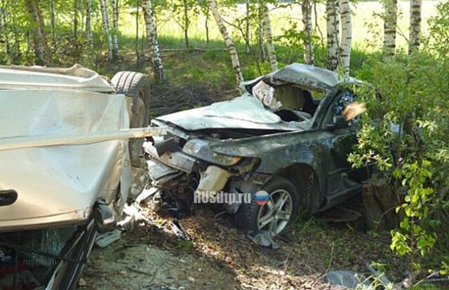 Четыре человека погибли в ДТП возле города Бор в Нижегородской области 
