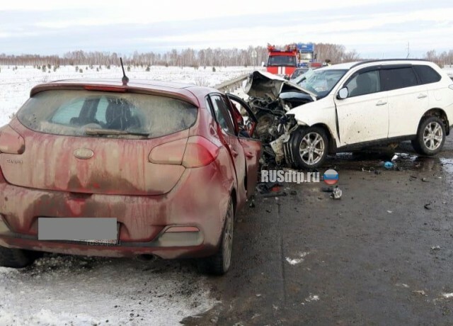 72-летняя женщина погибла в результате ДТП на автодороге Южноуральск — Магнитогорск 