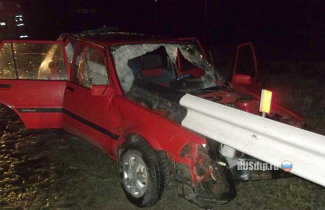 Отбойник прошил машину 