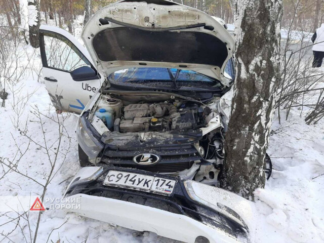 В Челябинске пьяный водитель врезался в дерево 