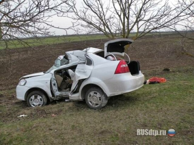 На Николаевщине водитель погиб, врезавшись в дерево 