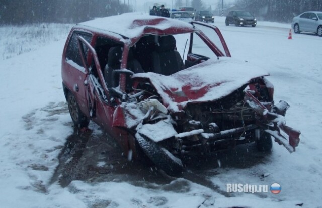 ДТП в Рязанском районе 
