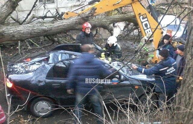 Видеорегистратор снял падение дерева на такси во Львове 