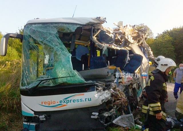 Семь человек погибли в ДТП с автобусом и грузовиком под Калининградом 