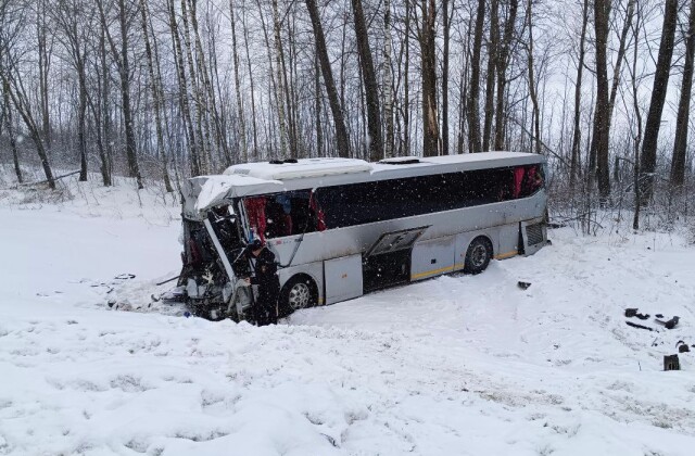Автобус столкнулся с двумя грузовиками в Брянской области: погибли три человека 