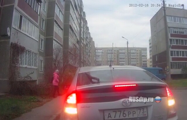 Выезжальщица 