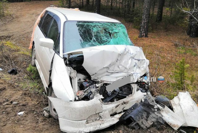 Три человека погибли в ДТП на трассе «Енисей» в Красноярском крае 