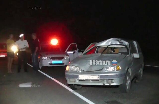 Два человека погибли в ДТП с лосем в Калужской области 