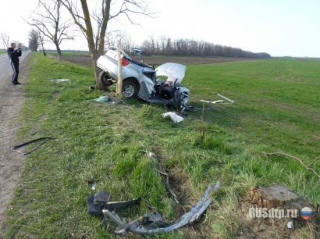 В столкновении Тойоты с деревом погибла пассажирка 