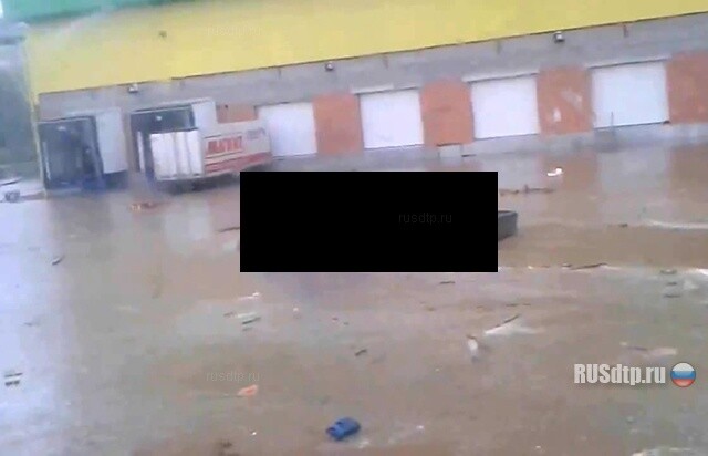 Русская амфибия 