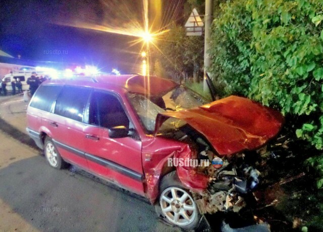 В Йошкар-Оле пьяный лихач насмерть сбил двоих пешеходов и устроил погром на парковке 
