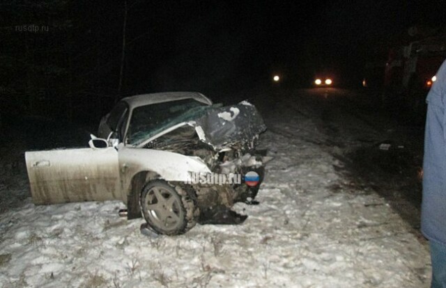 Два человека погибли в ДТП в Нижегородской области 