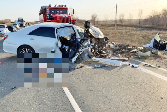 Смертельная авария в Оренбургской области: Renault Megane выехал на встречную полосу 