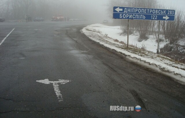 Смерть в тумане 