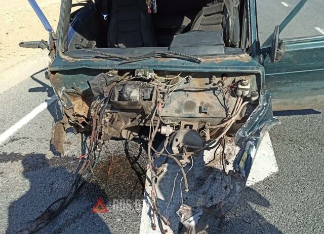 Пассажирка «Лады» погибла в ДТП в Сасовском районе 