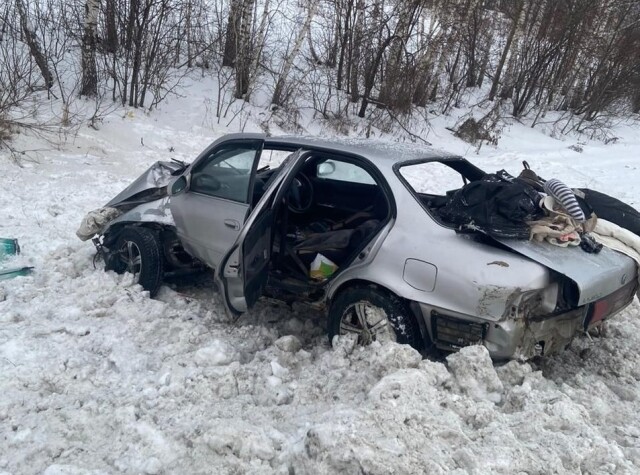«Не справился с управлением при обгоне»: автомобиль с семьёй врезался в столб на трассе Барнаул — Бийск 