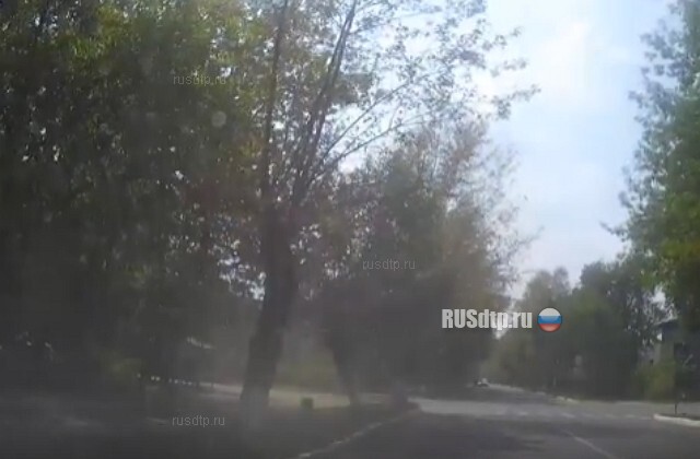 Полицейский разворот(с)