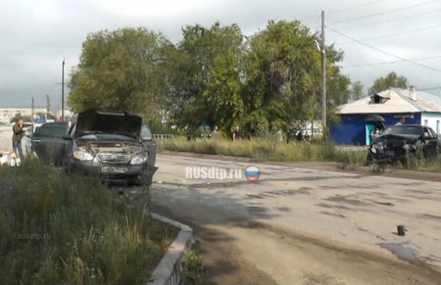 В Челябинской области области две машины столкнулись из-за выбежавшего на дорогу кота 