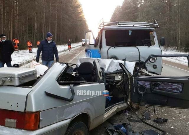 Водитель и пассажир «Лады» погибли в ДТП под Кирово-Чепецком 