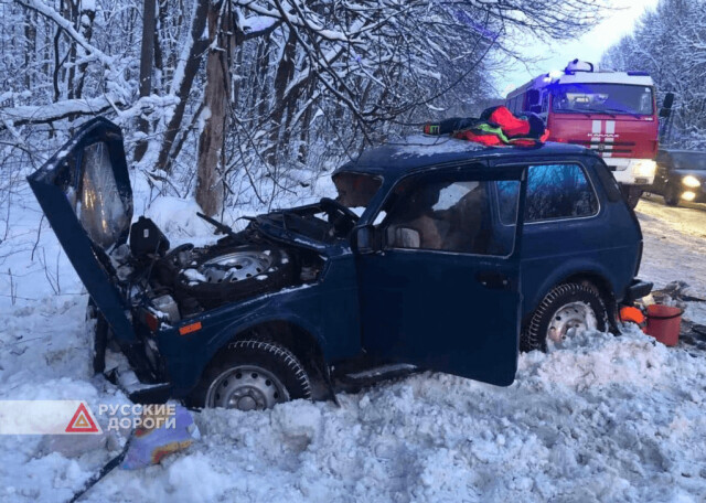 Бабушка и две внучки разбились на «Ниве» в Нижегородской области 